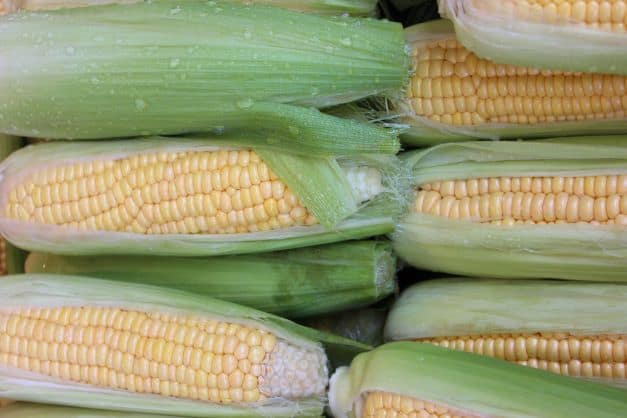 corn on the cob with water droplets, food with inherent hydration